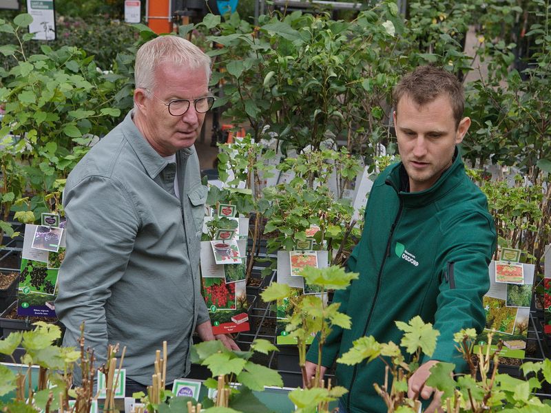 Werken bij een tuincentrum?