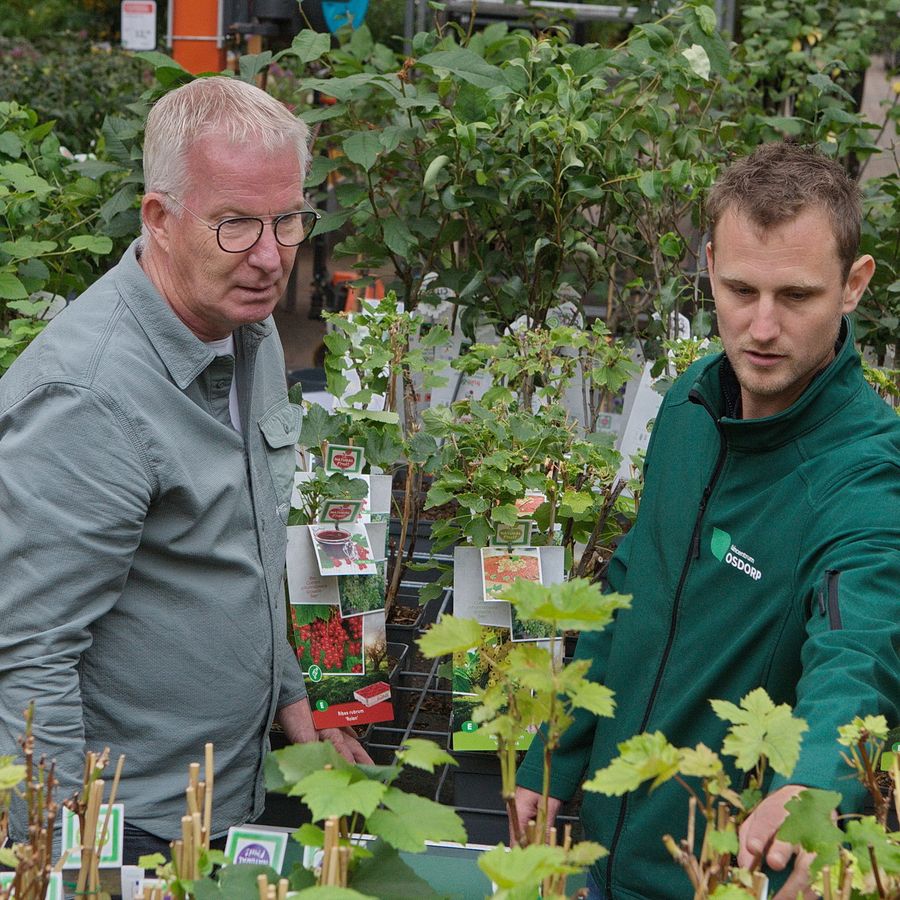 Werken bij een tuincentrum?